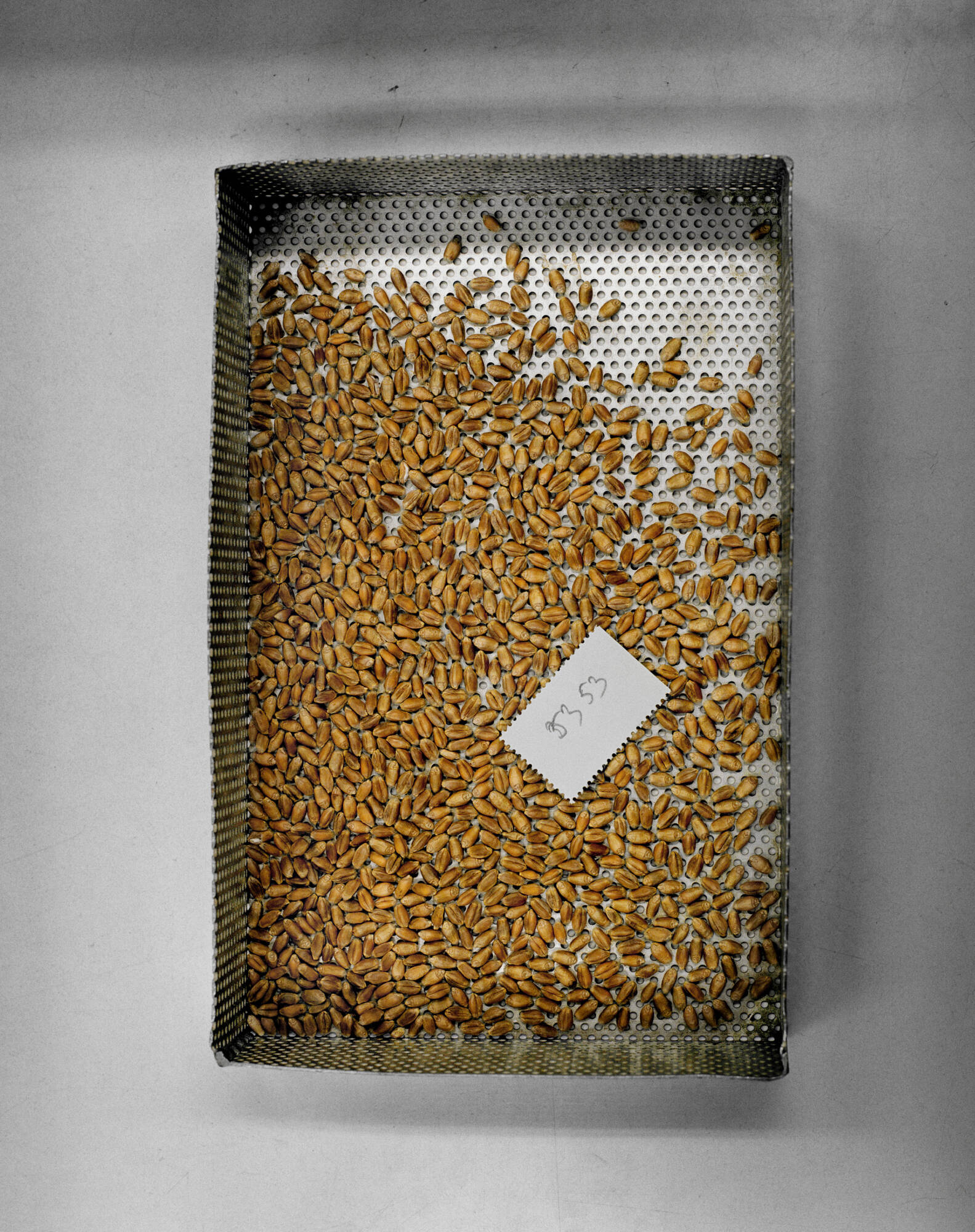 Artist Yann Mingard presenting his series "Deposit" at Parrotta Contemporary Art Gallery in Cologne and Bonn. Theme: Anthropocene. Winterthur, Folkwang, Steidl, GwinZegal, Florian Ebner, Thomas Seelig